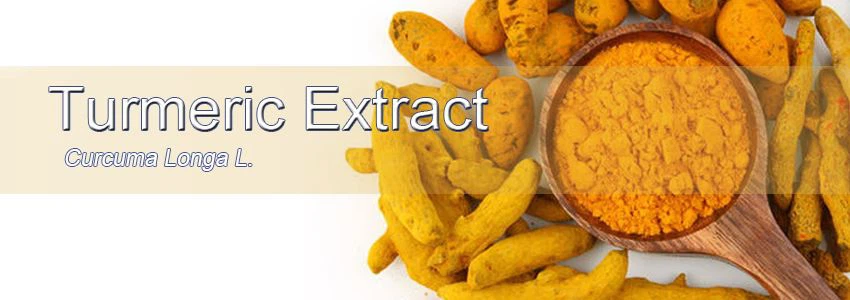 Turmeric Root Extract Powder (2)