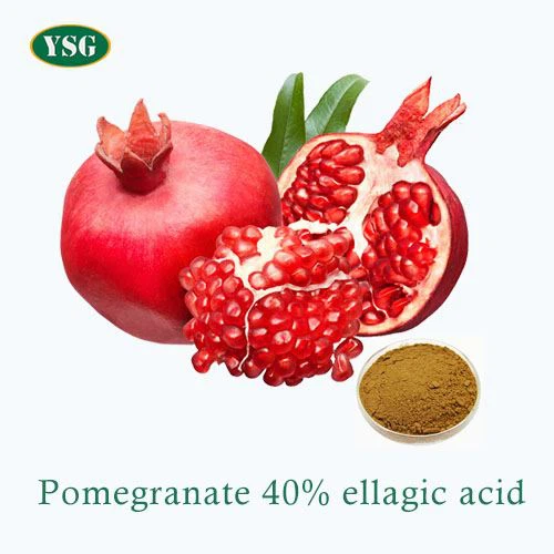 Pomegranate 40% ellagic acid