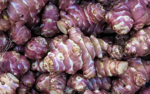 Jerusalem Artichoke Extract