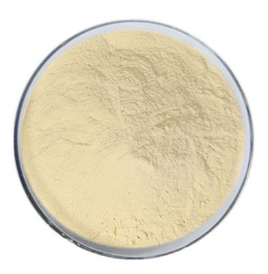Natural Soybean Extract 