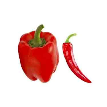 Capsicum annuum L
