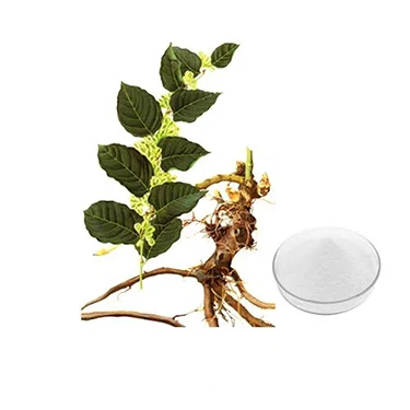 Polygonum Cuspidatum Extract Resveratrol