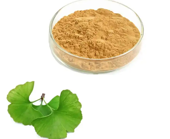 Ginkgo Biloba Leaf Powder Ginkgo Biloba Leaf Powder