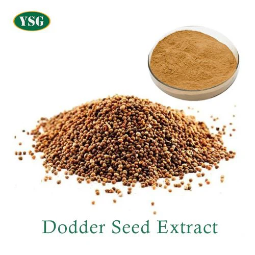 Dodder Seed Extract