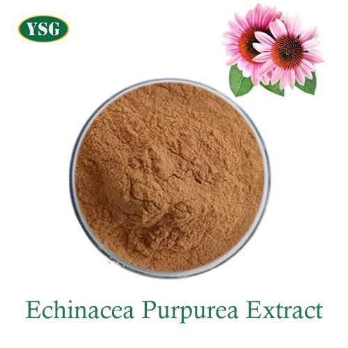 Echinacea Plant Extract