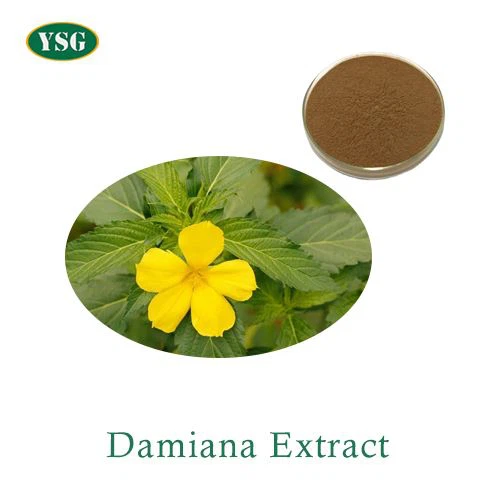 Damiana Leaf Extract