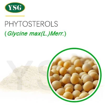 Phytosterol Powder