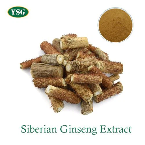 Siberian Ginseng Root Extract
