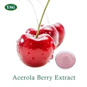 Acerola Berry Extract Powder