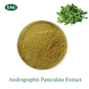 Andrographis Paniculata Extract Powder
