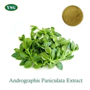 Andrographis Paniculata Extract