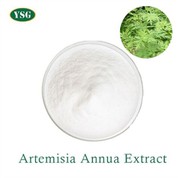 Artemisia Annua Extract Powder
