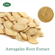 Astragalus Plant Extract