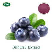 Bilberry Extract Powder