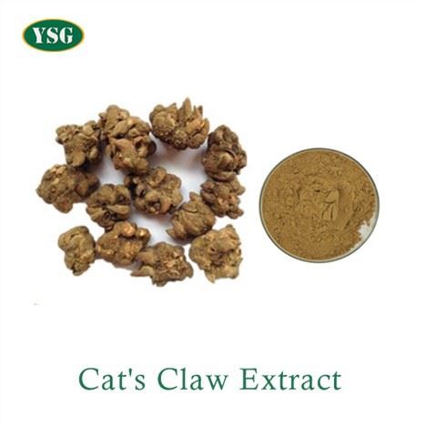 Cat's Claw Extract Powder
