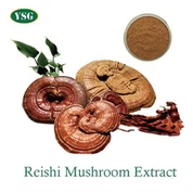 Ganoderma Lucidum Extract Powder