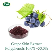 Grape Skin Extract Powder