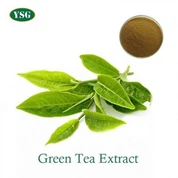 Green Tea Extract Powder