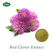 Red Clover Extract