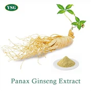Panax Ginseng Extract Powder