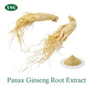 Panax Ginseng Root Extract Powder