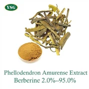 Phellodendron Amurense Extract Powder