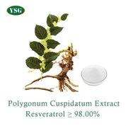 Polygonum Cuspidatum Root Extract Powder