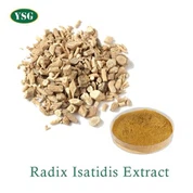 Radix Isatidis Extract