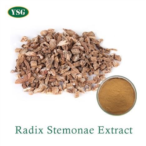 Radix Stemonae Extract
