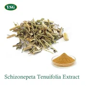 Schizonepeta Tenuifolia Extract