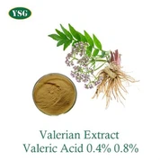 Valerian Extract Powder
