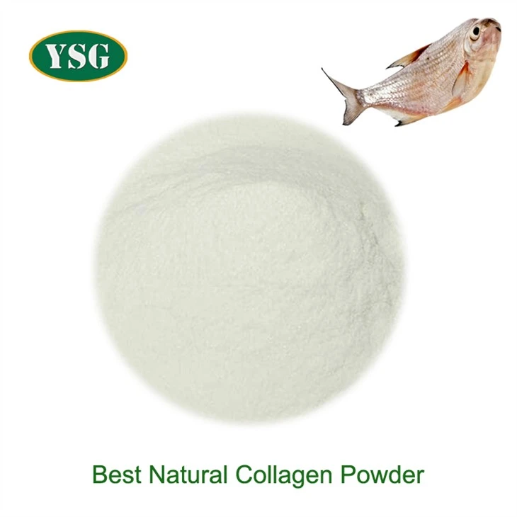 Best Natural Collagen Powder