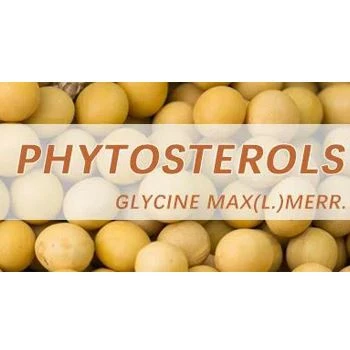 What Is Phytosterol?