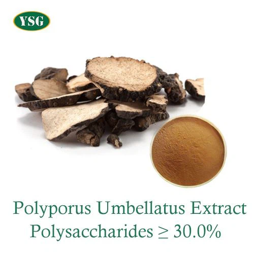 Polyporus Umbellatus Extract Powder