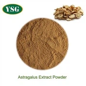 Astragalus Extract Powder