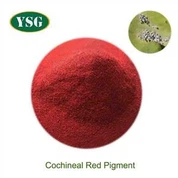 Cochineal Red Pigment