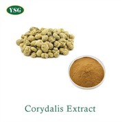 Corydalis Extract Powder