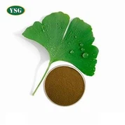 Ginkgo Biloba Extract Powder