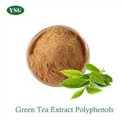 Green Tea Extract Polyphenols