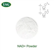 NAD Powder