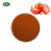 Tomato Extract Lycopene