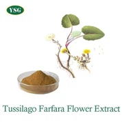 Tussilago Farfara Flower Extract Powder