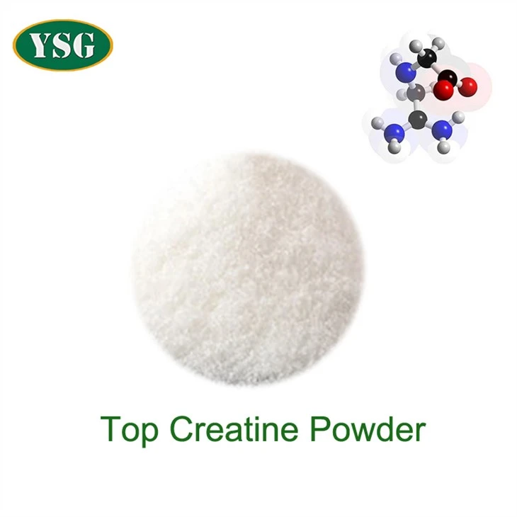 Bulk Creatine Powder