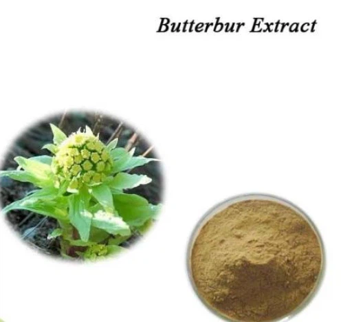 Butterbur Extract