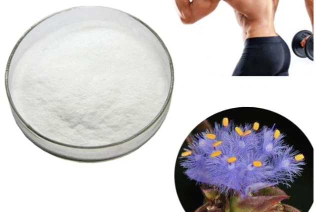 Ecdysterone Powder