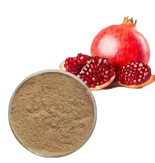 Ellagic Acid 40