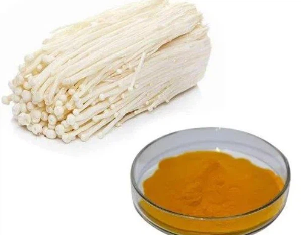 Enoki Mushroom Powder