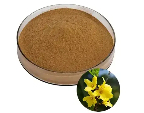 Forsythia Extract
