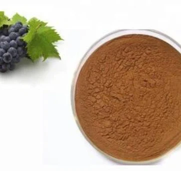 Grape Seed Extract Bulk