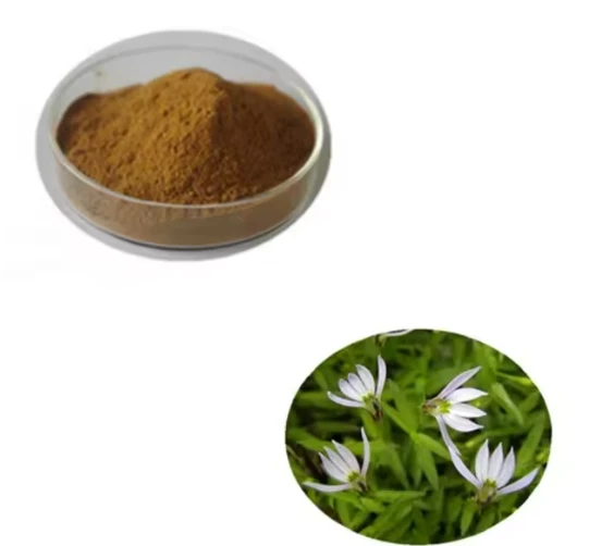 Lobelia Extract